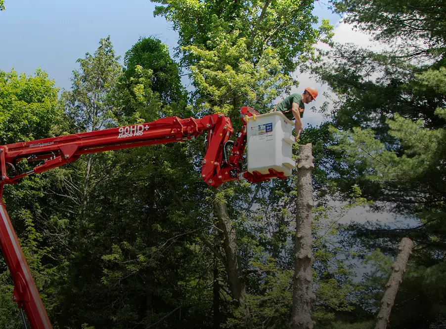 Arborist in a spider lift crane trimming a tall tree branch among forest greenery