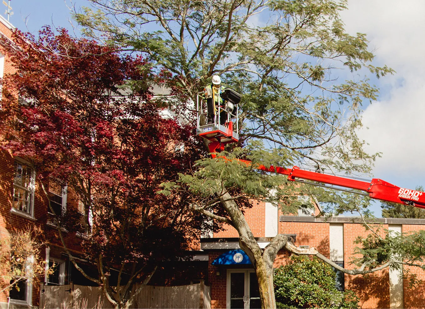 Worker in safety gear trimming tree branches using a red hydraulic lift near a brick building.