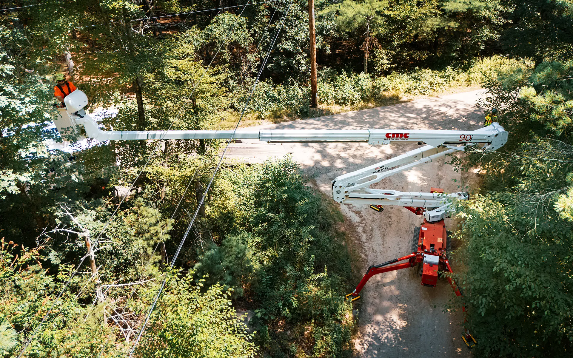 Worker in bucket truck elevated among trees near power lines on a dirt road.