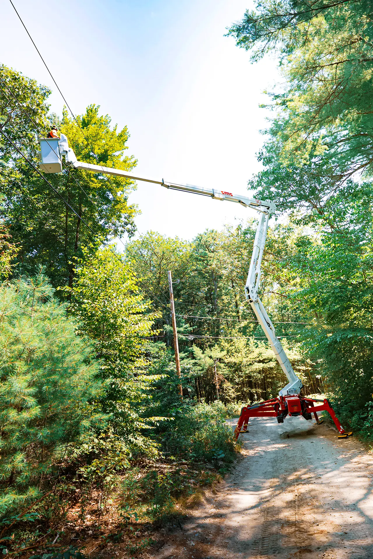 Worker in bucket lift trimming tree branches near power lines on a forested dirt road.