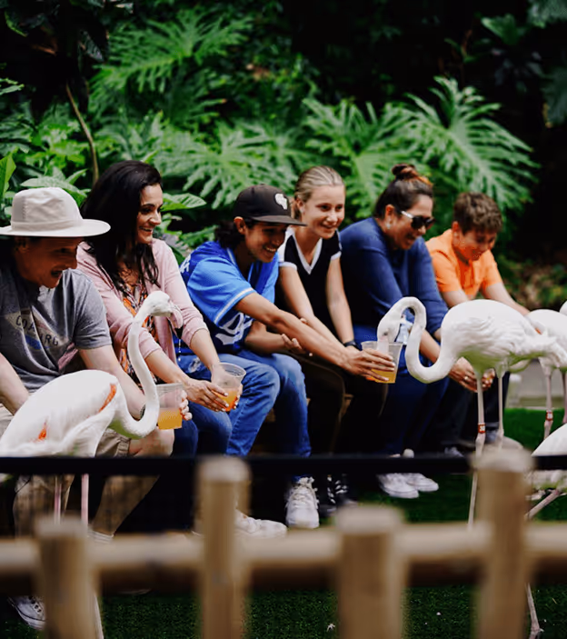 A group of six people sitting and feeding flamingos with cups in a green outdoor setting.