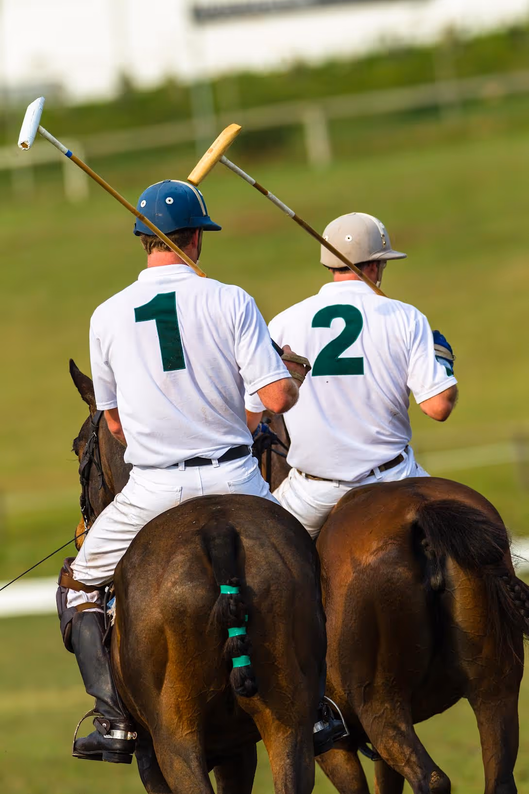 Two polo players wearing helmets and shirts numbered 1 and 2 riding horses with mallets raised.