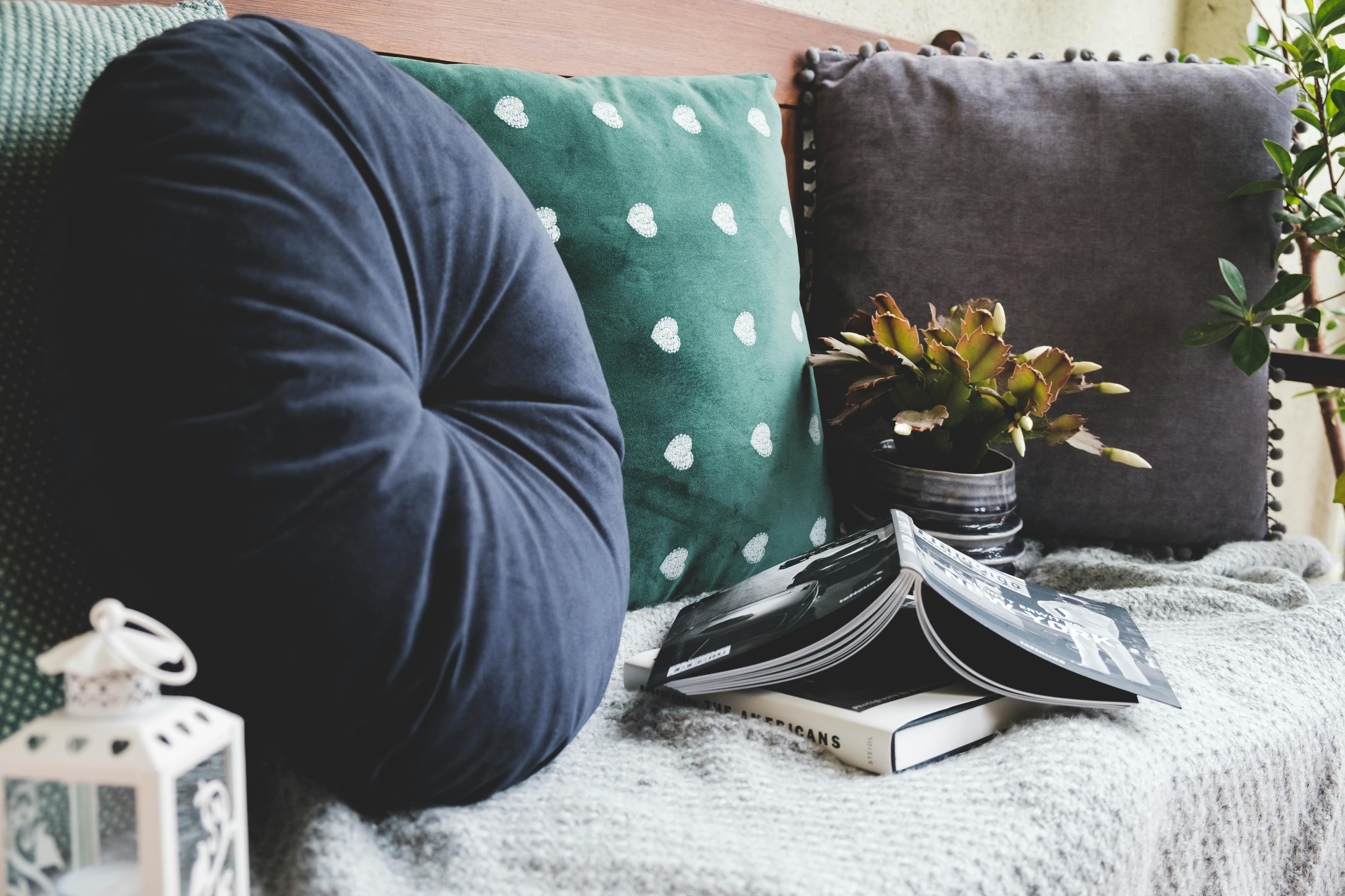Pillows on sofa with plant and book stock image