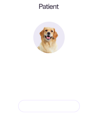 Profile of a golden retriever named Cadeaux, 8 years old, male, 55 pounds, with full anesthesia option.