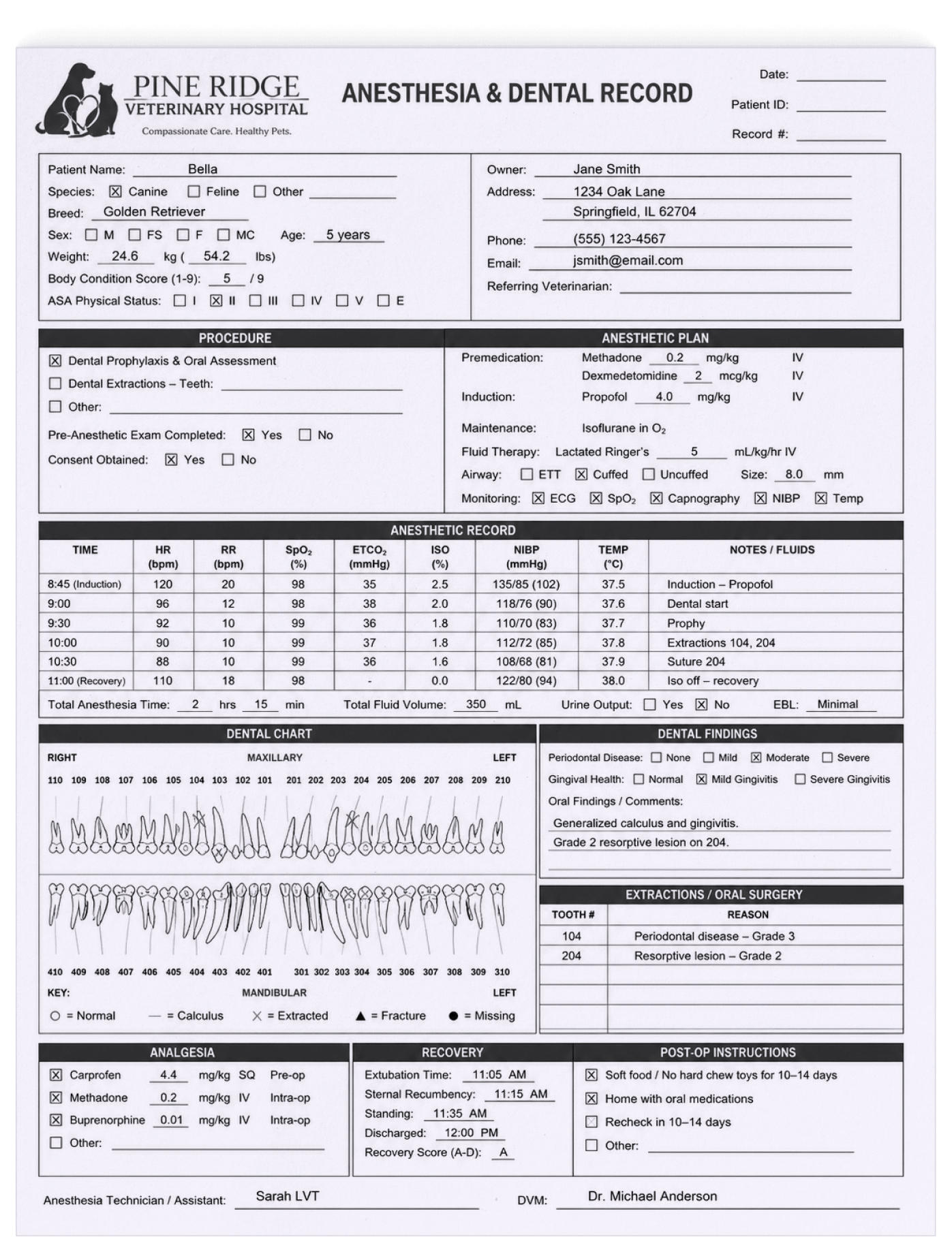 Anesthesia and dental record for a 5-year-old female Golden Retriever named Bella from Pine Ridge Veterinary Hospital.