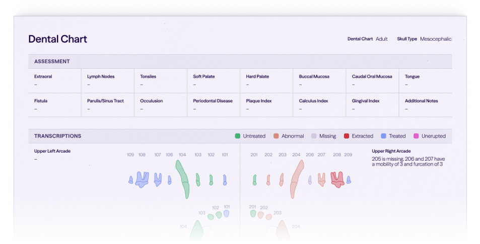 Dental chart showing assessment categories and colored tooth transcriptions with notes on the upper right arcade.