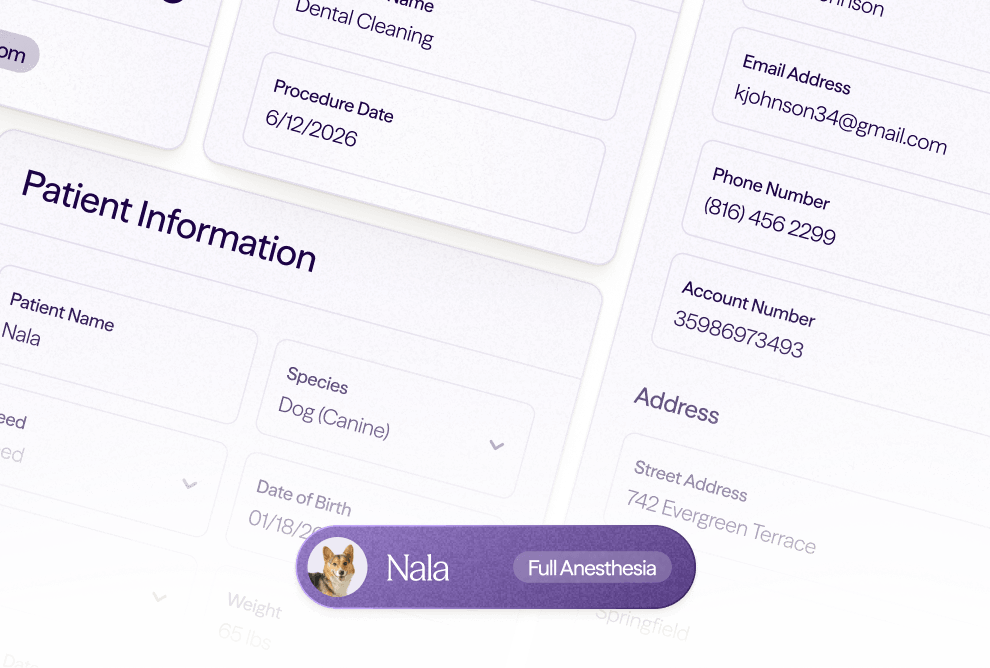 Patient information form for dog named Nala, includes species, weight, birth date, and owner contact details.