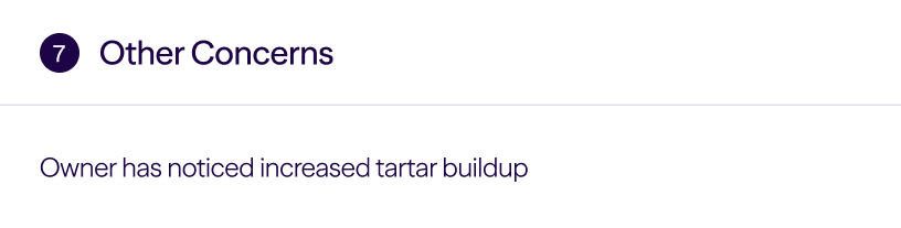 Section titled 'Other Concerns' stating owner has noticed increased tartar buildup.
