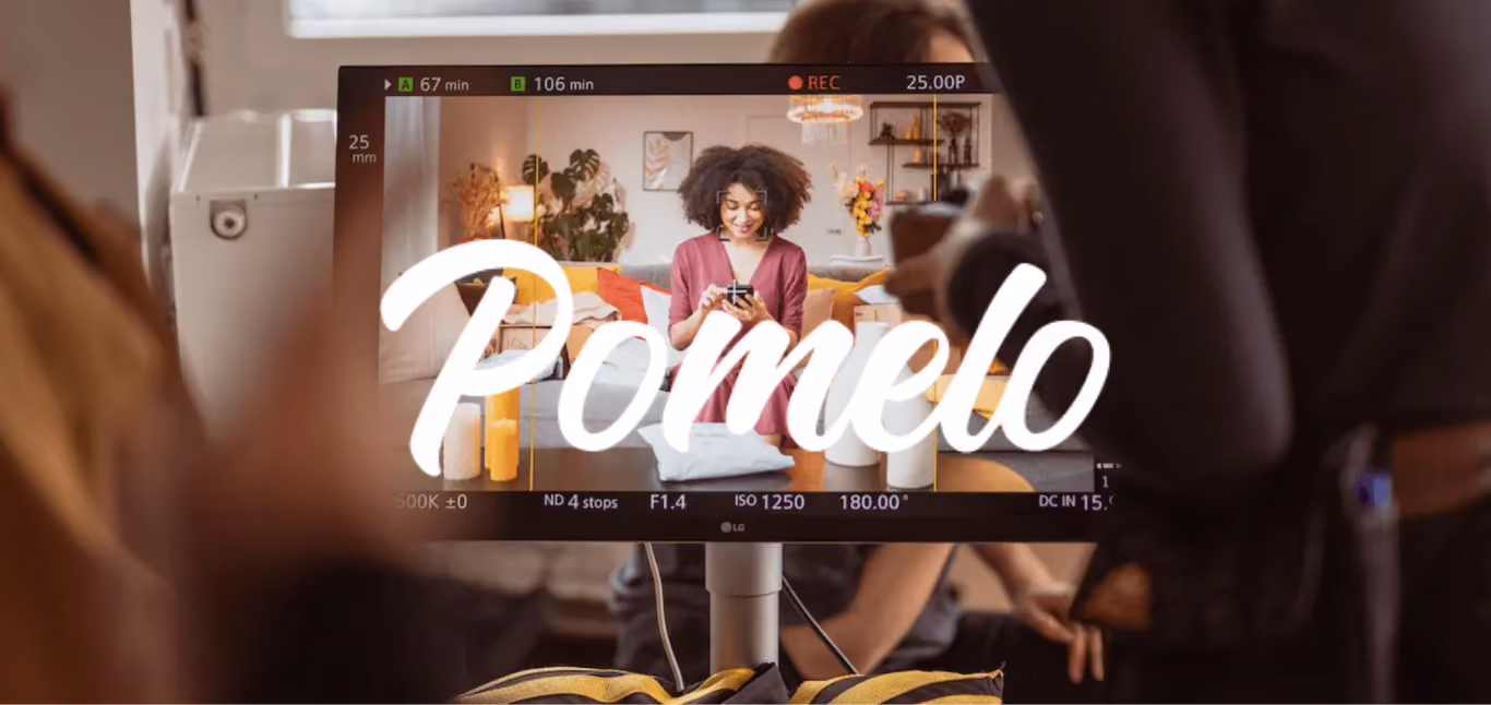 Pomelo Factory - contexte