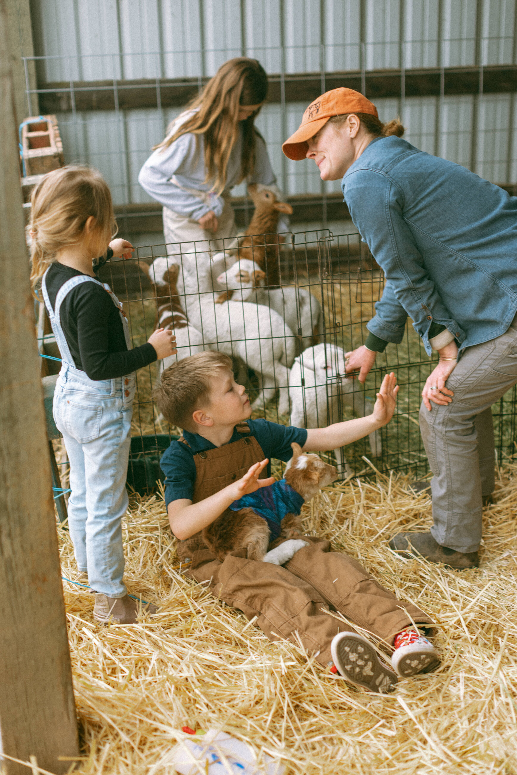 Children meeting newborn lambs in the straw-bedded barn