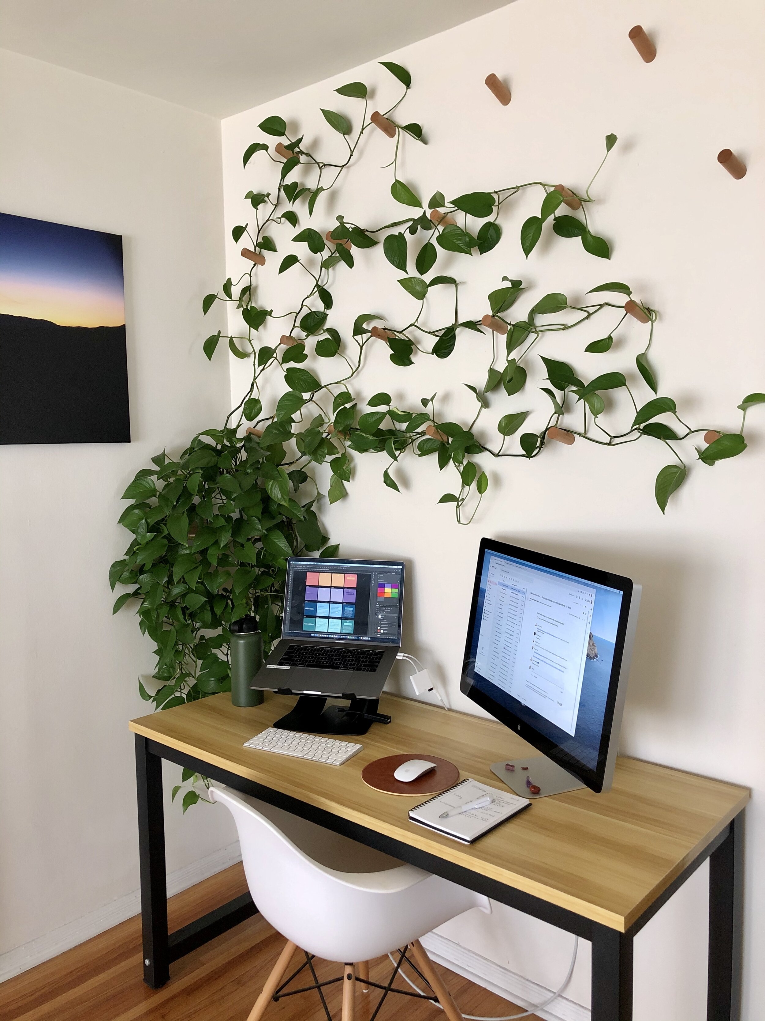 Laptop & indoor plant