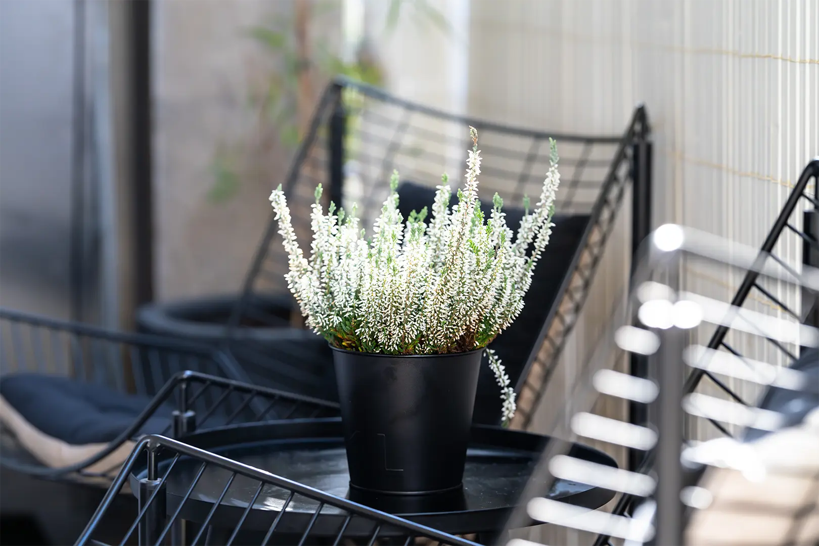 Appartement cocooning quartier Mermoz — Marseille