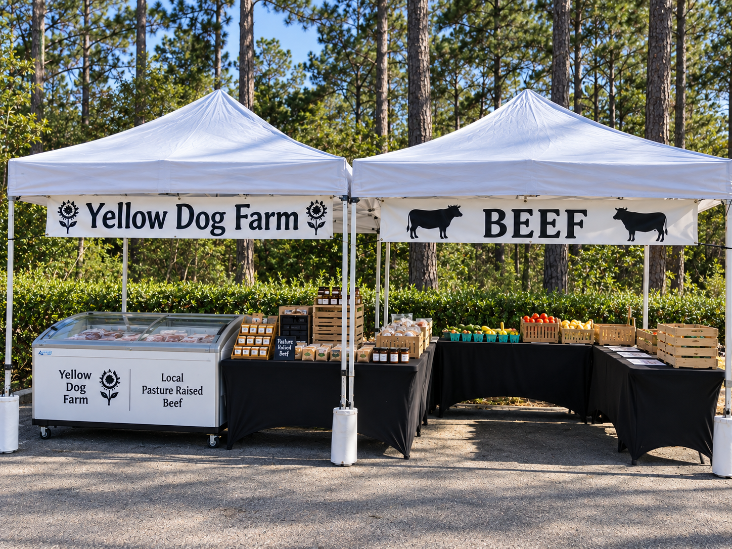 Farm photo from Yellow Dog Farm near Dorchester, South Carolina.