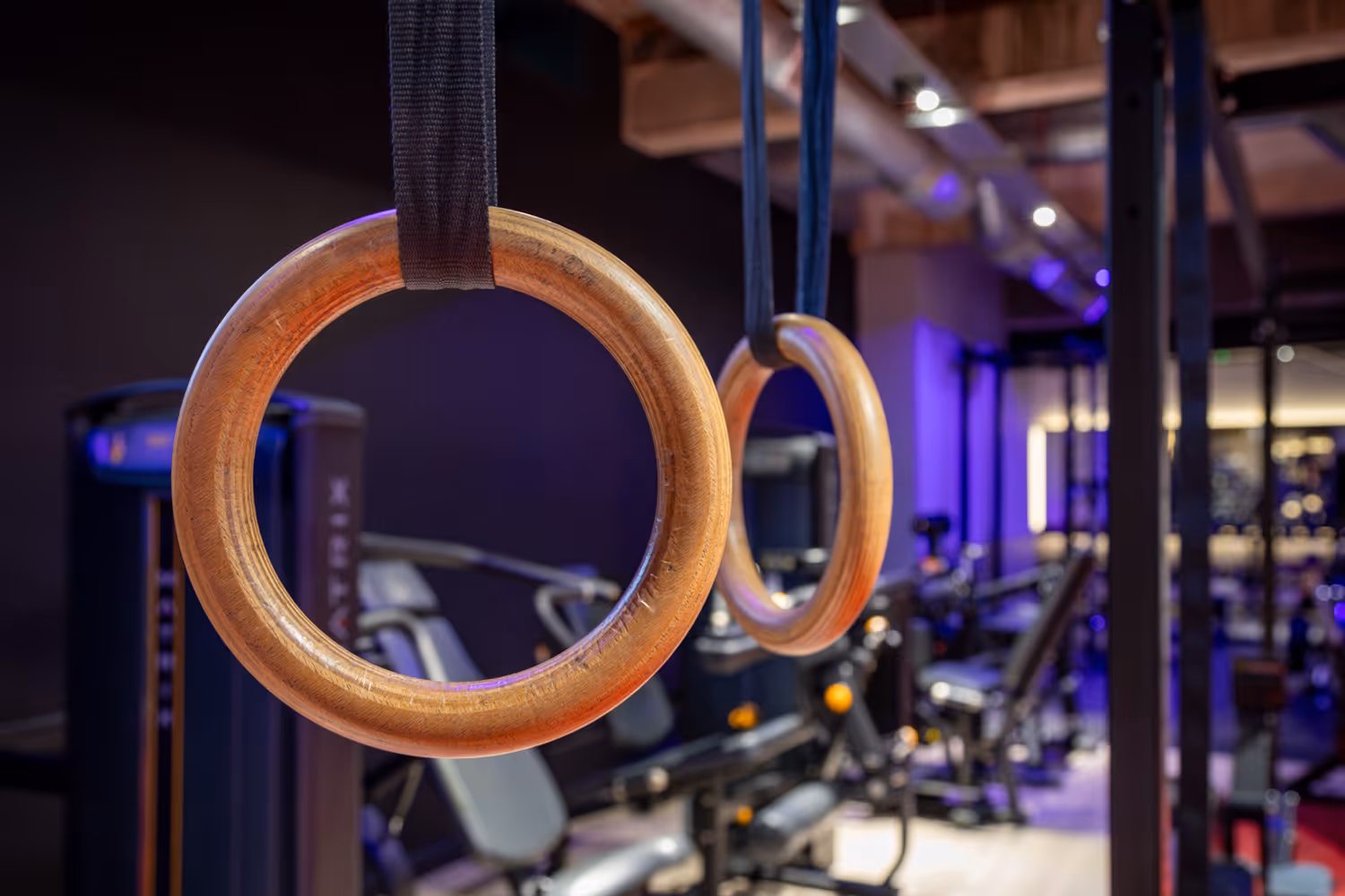 Wooden gym rings hanging by black straps in a modern gym with workout machines in the background.