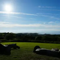 Sunny clear sky over a green field in Castel Guernsey, with silhouetted trees and sculptures in foreground.