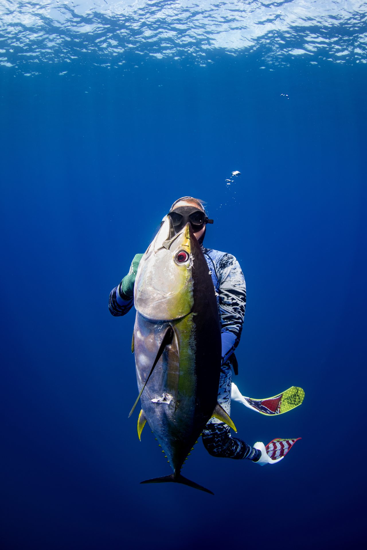 A spearfisher beneath the surface in deep blue water