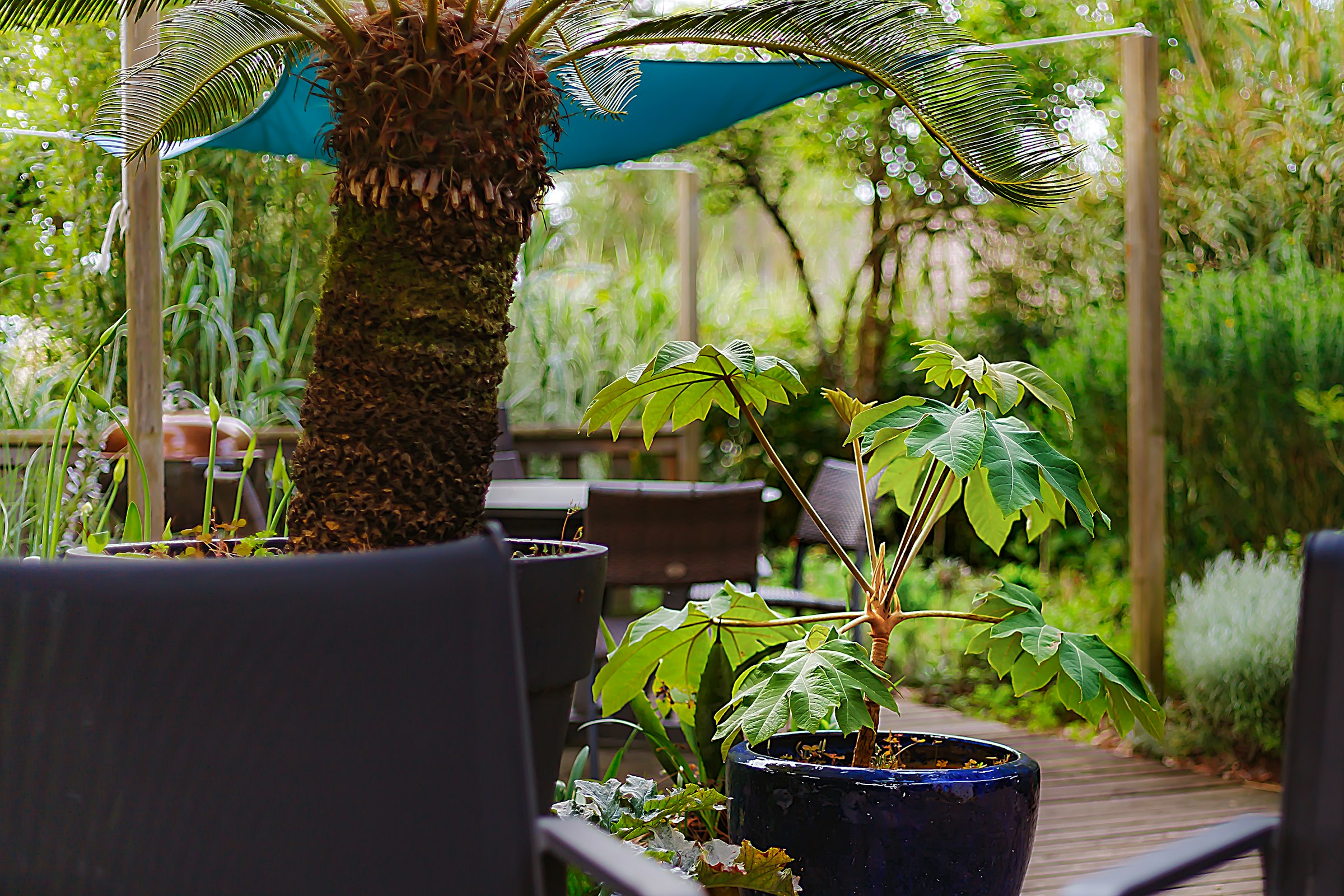Outdoor seating surrounded by lush greenery