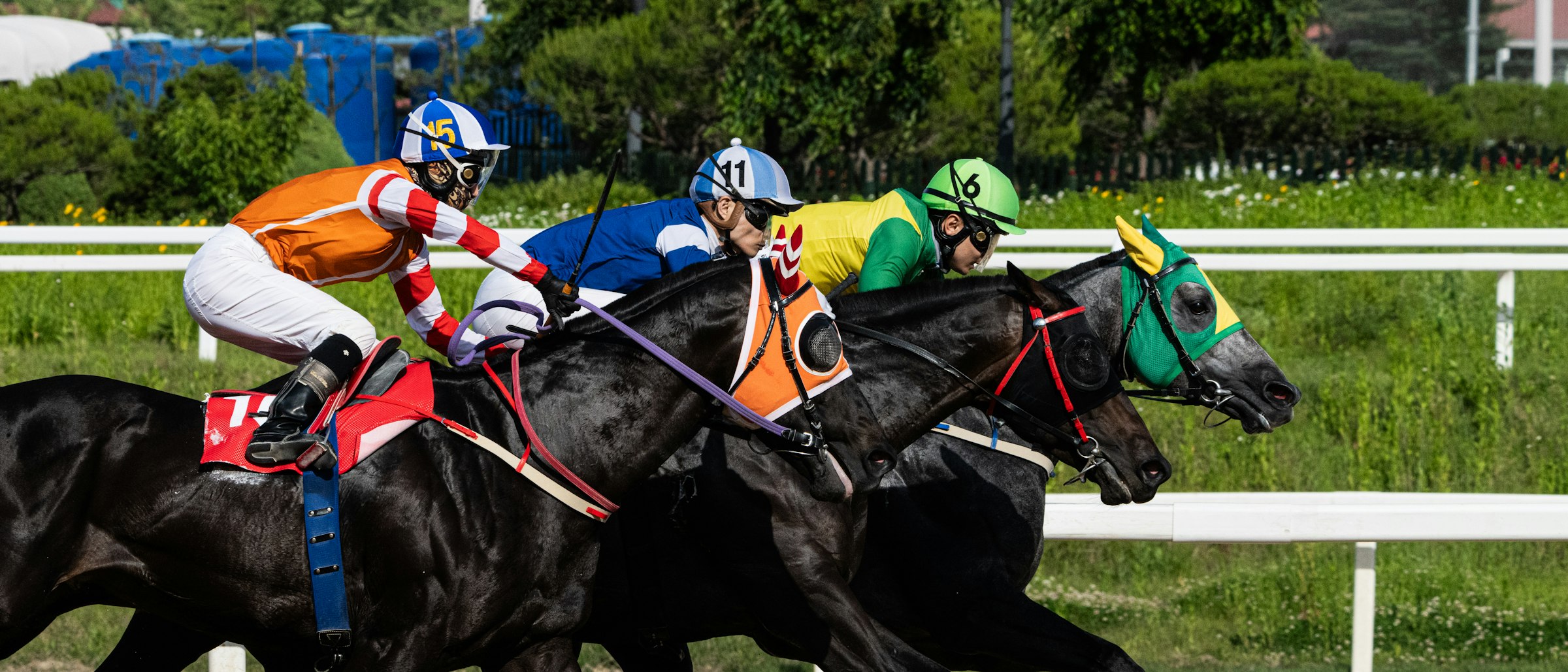 Jockeys and horses racing on a turf track