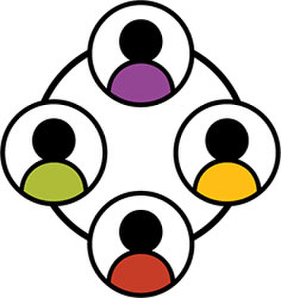 An icon of four people connected in a circle representing collaboration between local leaders and experts