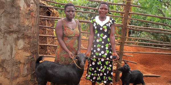 Monica and a fellow community member stand with their goats in a pen in Uganda