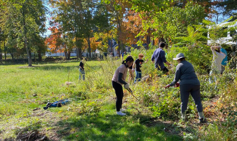 CSW students cleaning brush out of an overgrown garden.