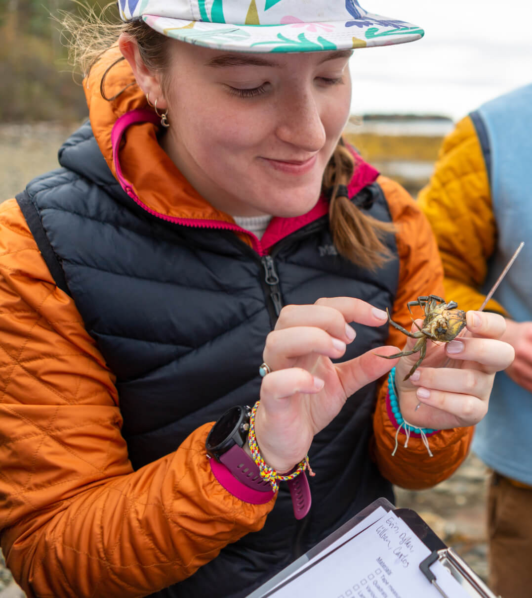A Gould student at the ocean measuring a crab during an experiential learning outing.