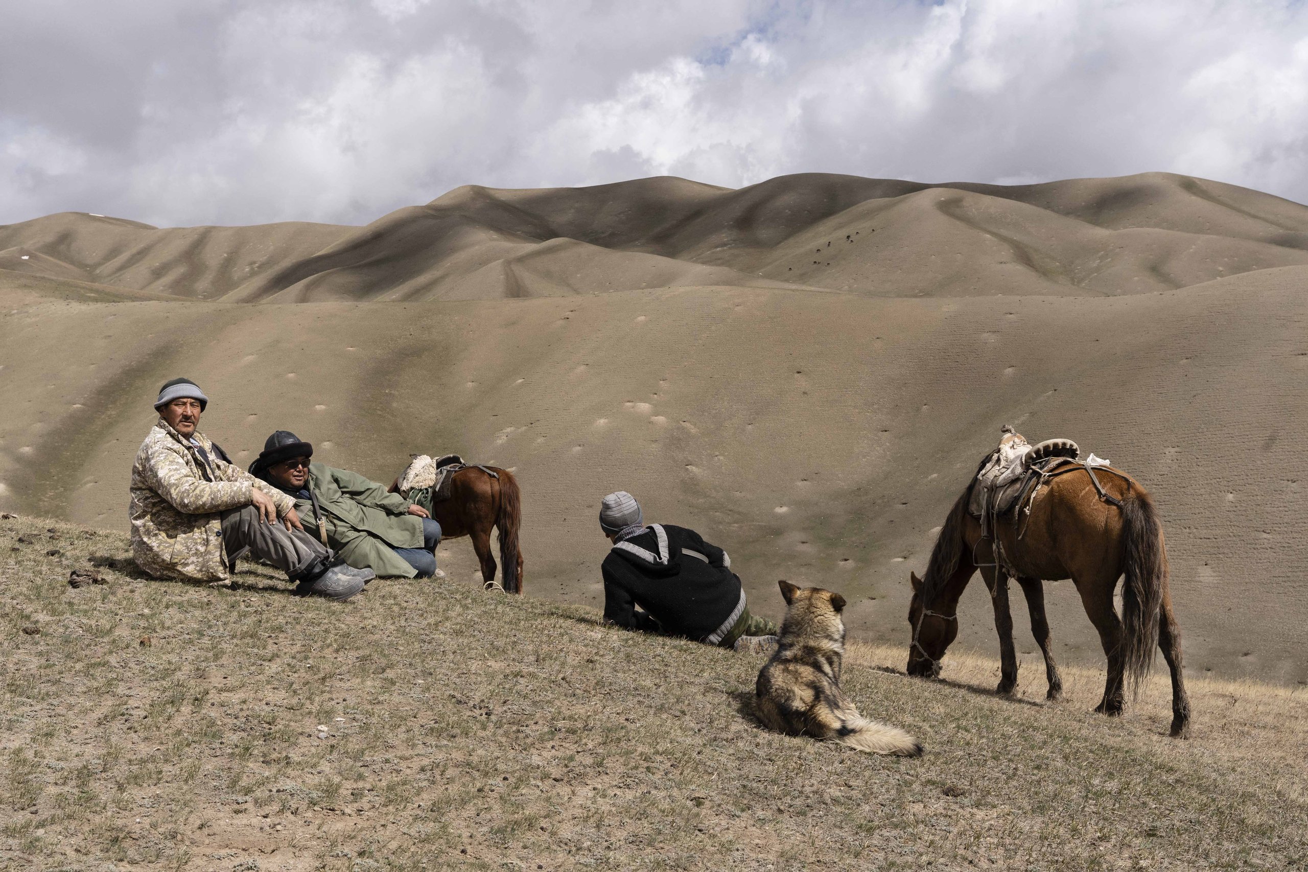 Shepherds resting on a hillside with their horses and dog, Kyrgyzstan