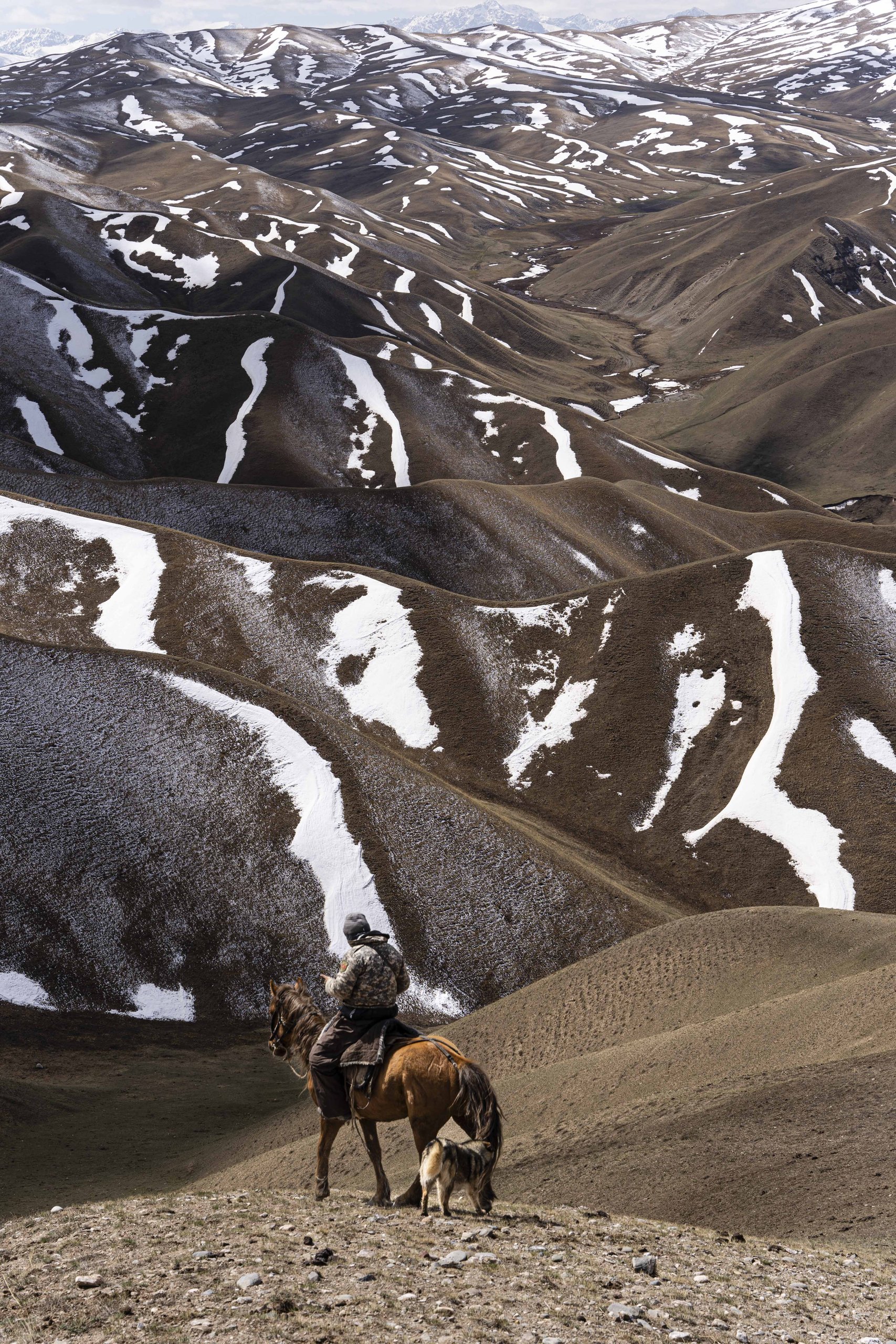 A shepherd on horseback with his dog, overlooking snow-streaked hills in Kyrgyzstan