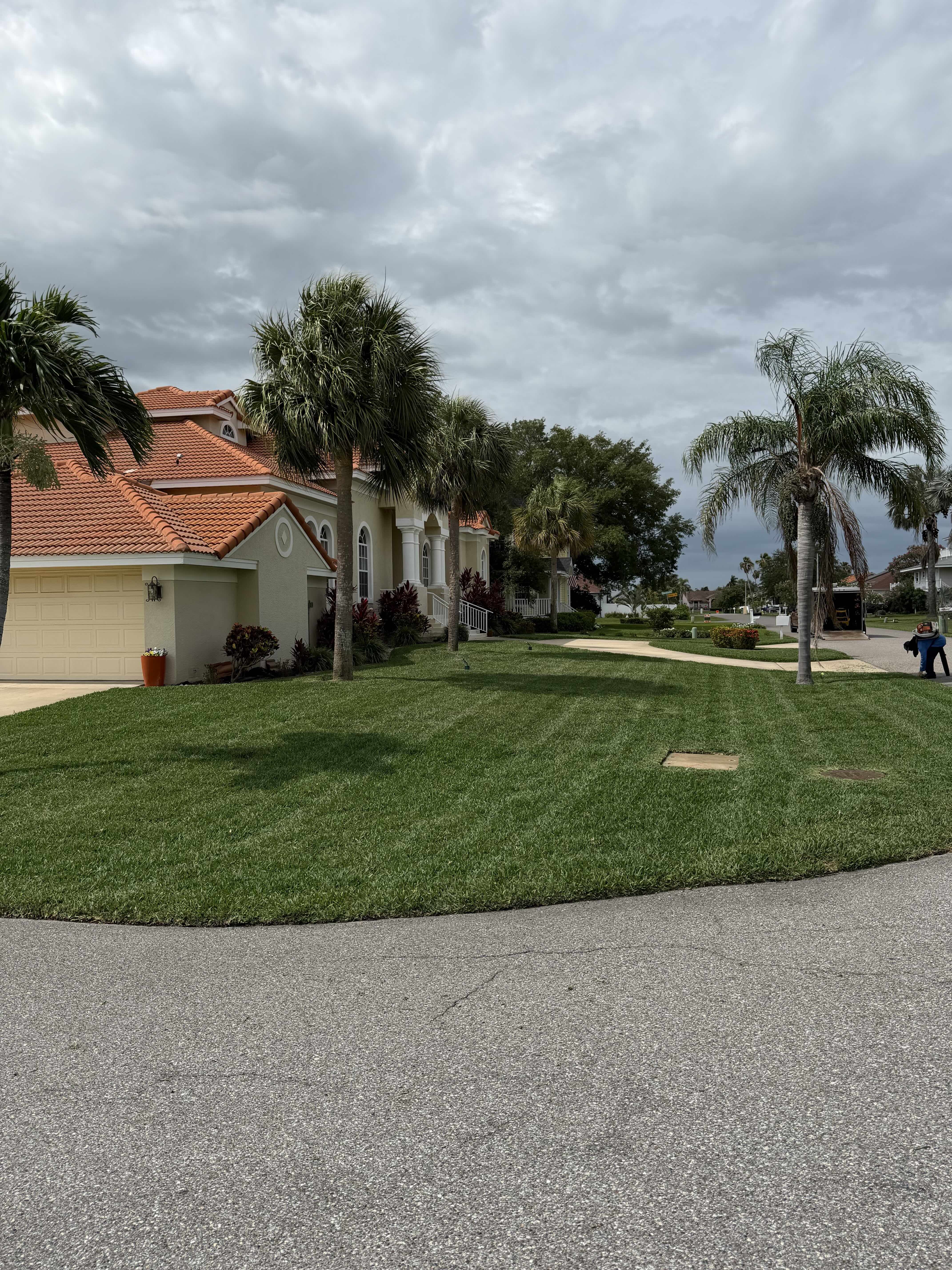 New sod installed by Caddyshack at a client's house in Tierra Verde, FL.