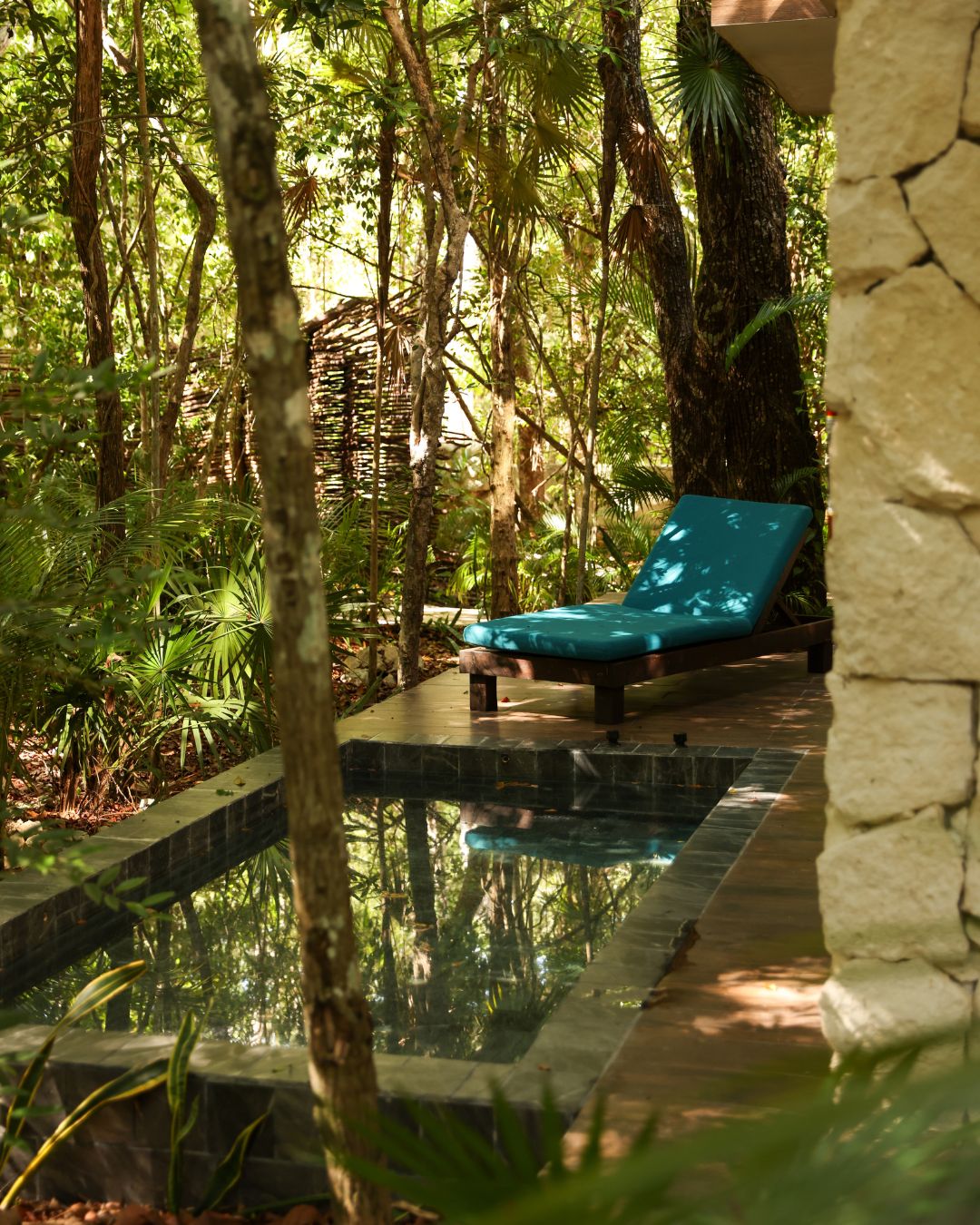 Private plunge pool at a jungle villa