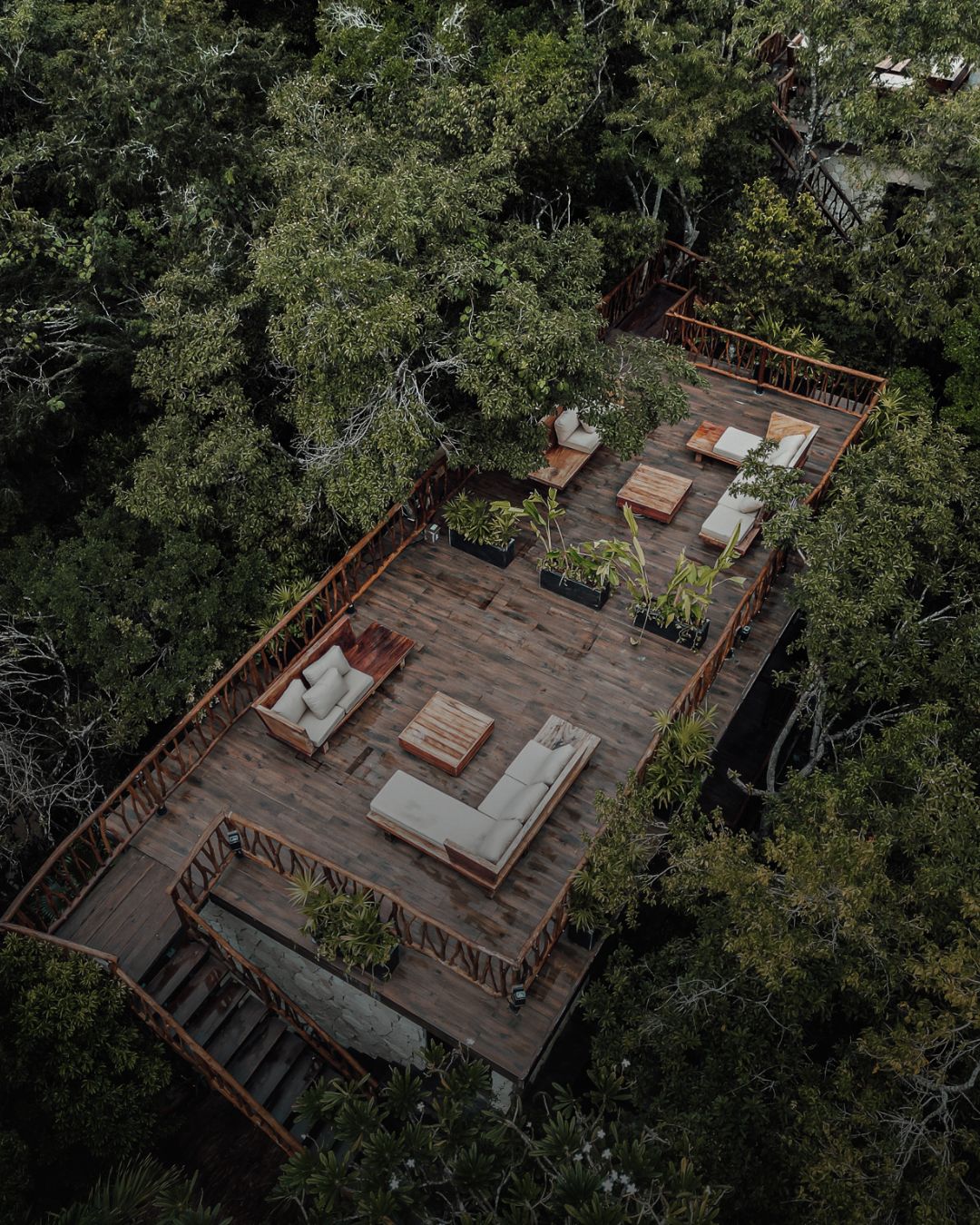 The Rooftop