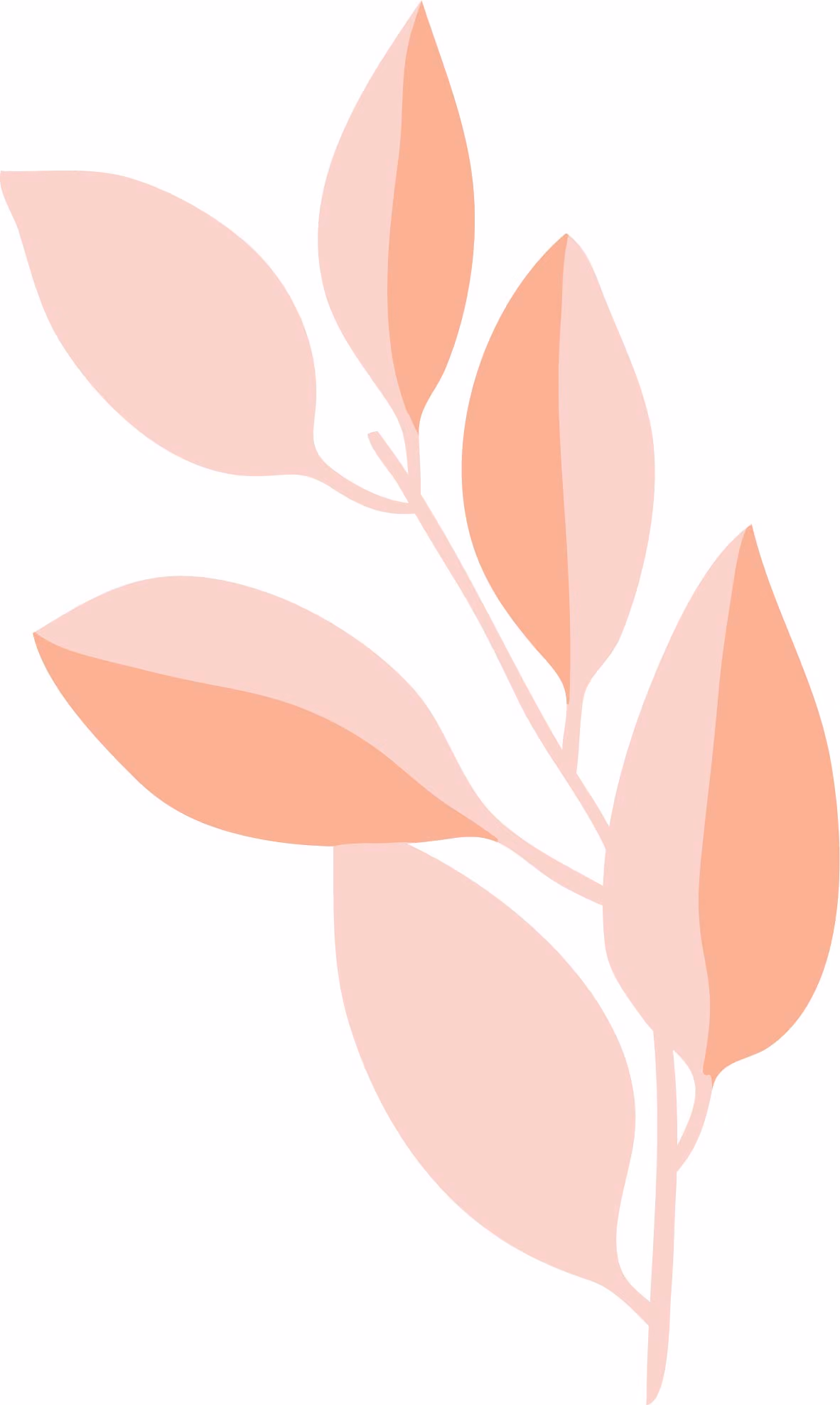 Clear Lake Psychotherapy art