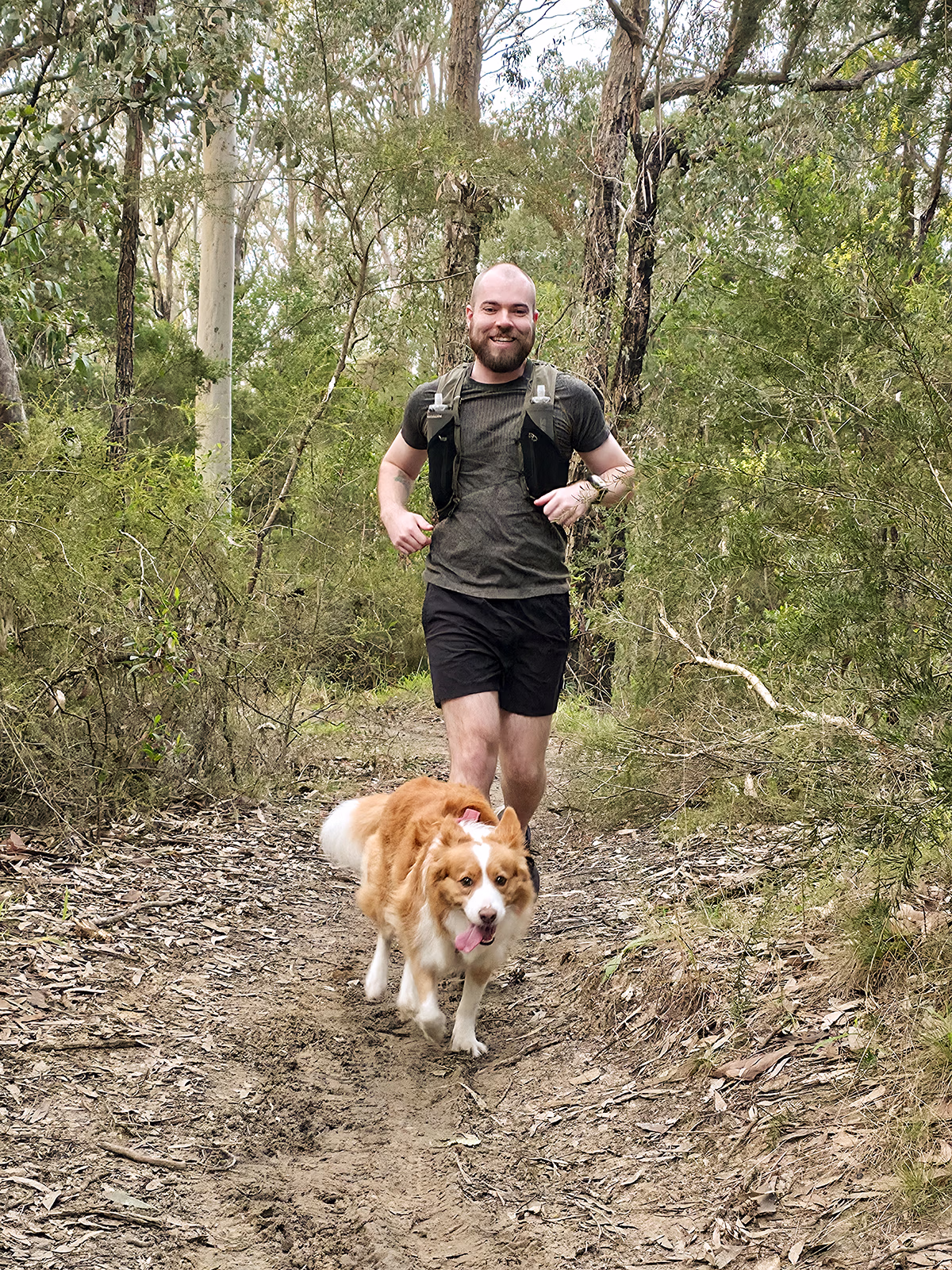 Smiling man running on a forest trail with a happy brown and white dog running ahead.