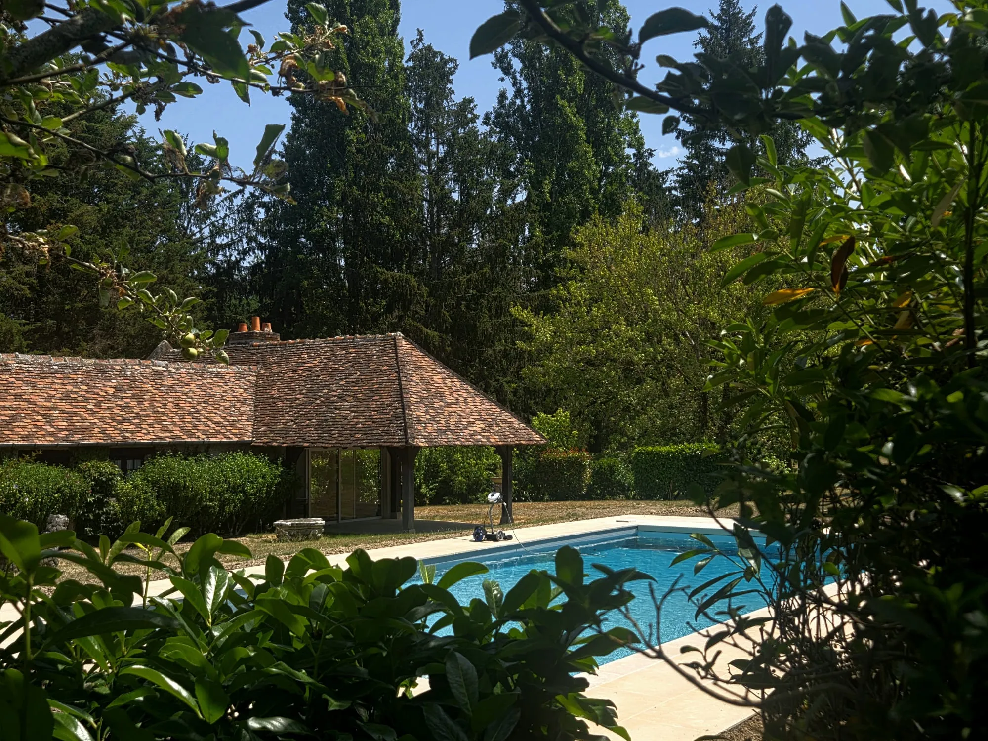 Jardin 2