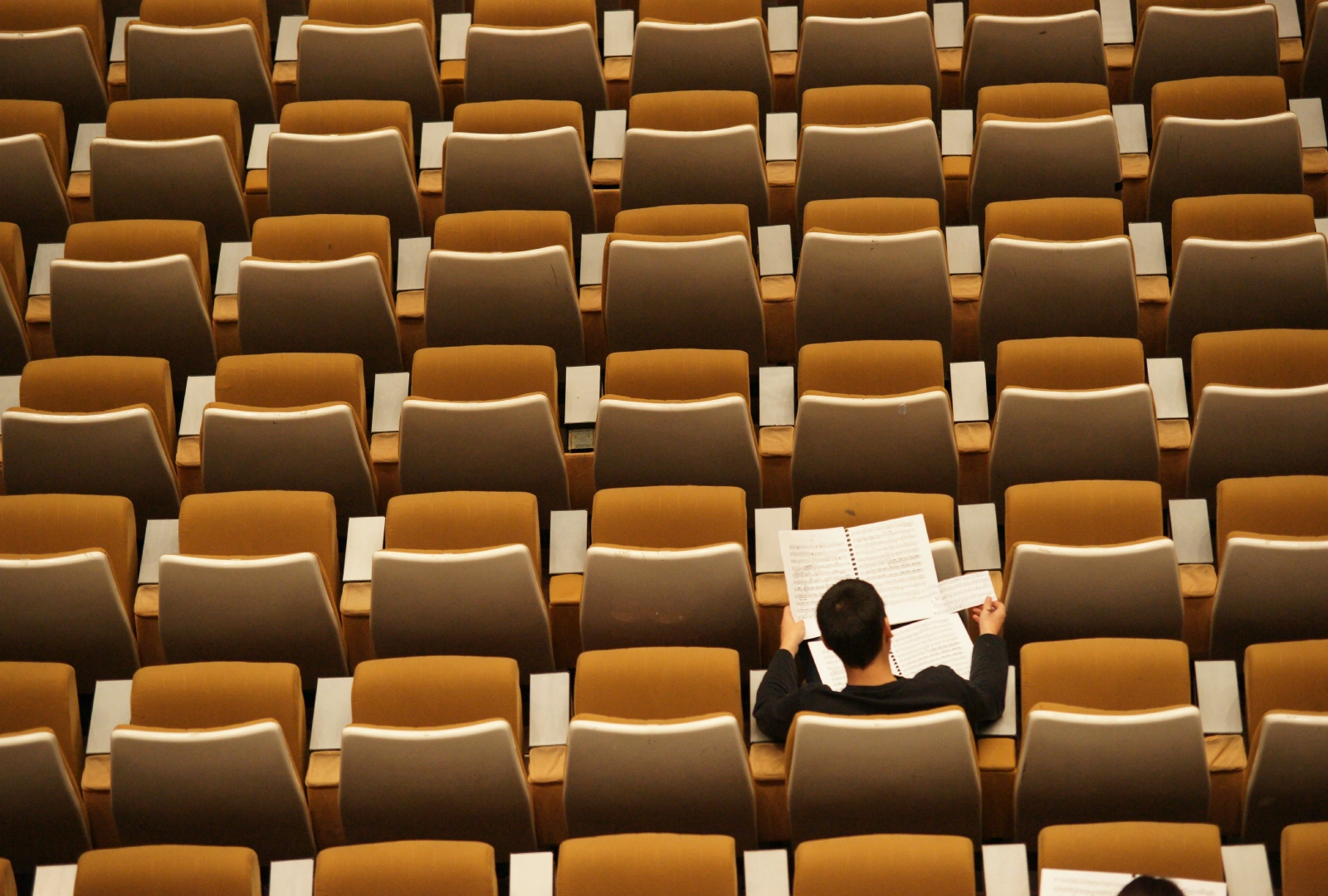 Person reading sheet music in an empty auditorium