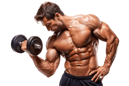 Muscular man with defined abs lifting a dumbbell in a bicep curl pose.