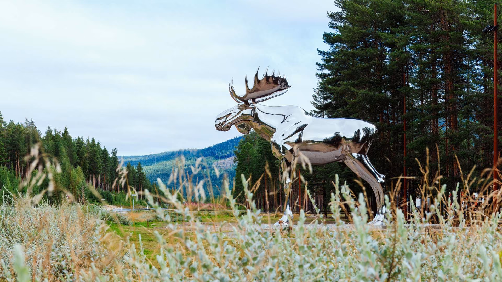 Large shiny metallic moose statue outdoors surrounded by trees and tall grass under a cloudy sky.