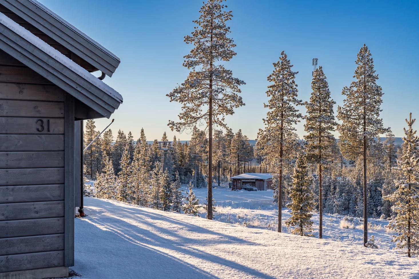Snow-covered landscape with tall pine trees and side of a cabin numbered 31 in sunlight.