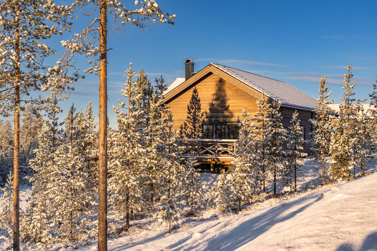Wooden cabin surrounded by snow-covered pine trees under a clear blue sky at sunset.