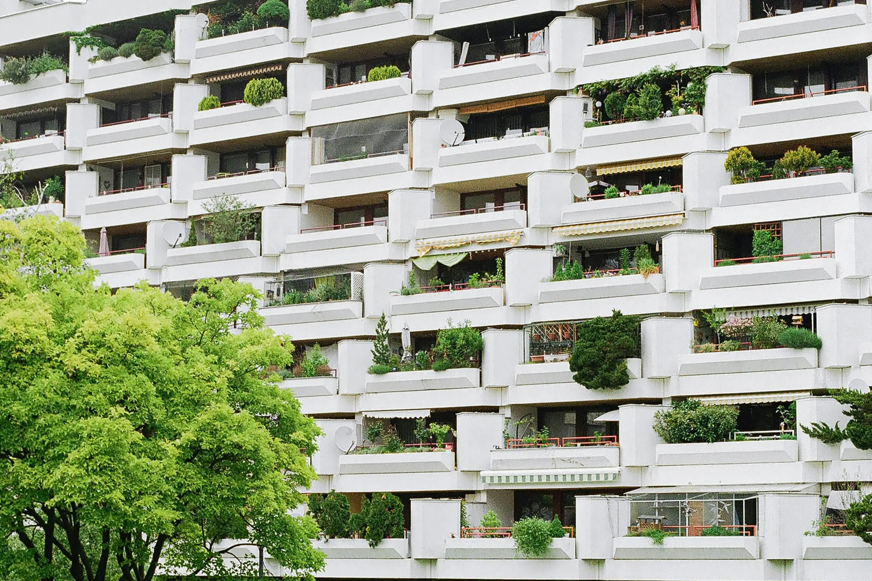 Große Terrassenwohnanlage mit weißer Fassade und zahlreichen begrünten Balkonen als Sinnbild für großvolumige Wohnimmobilien
