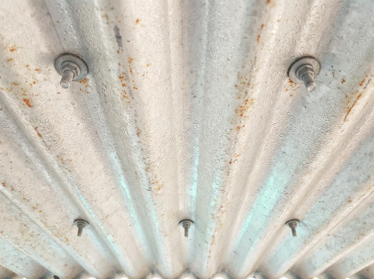A close detail of the underside of a bare corrugated sheet on a timber purlin, the wave of the profile and a row of fixings visible, pale daylight along the ribs.