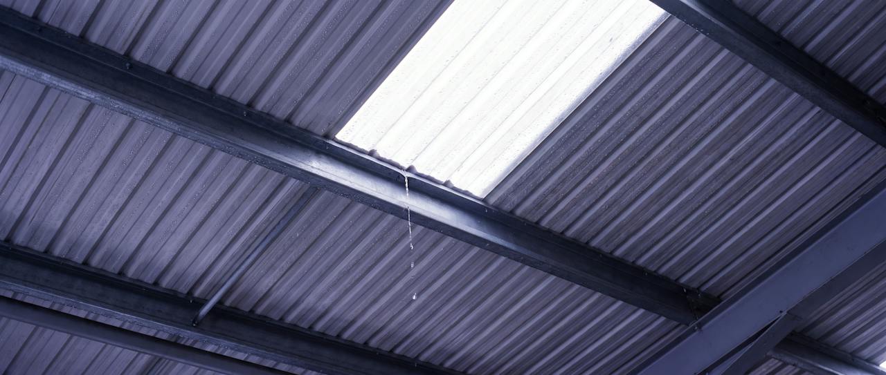 Looking up inside a steel-framed building on a cold morning: the bare underside of a profiled roof beaded with condensation, a rooflight strip, and a single drop falling.