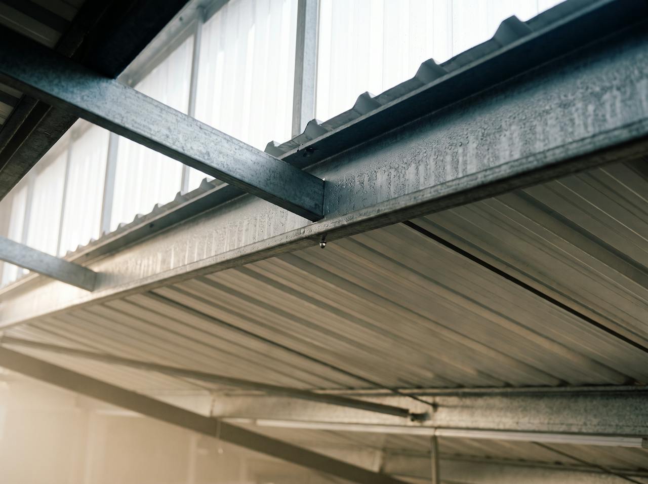 The underside of a cold profiled steel roof at first light, beads of condensation gathering along a purlin, a rooflight glowing above.