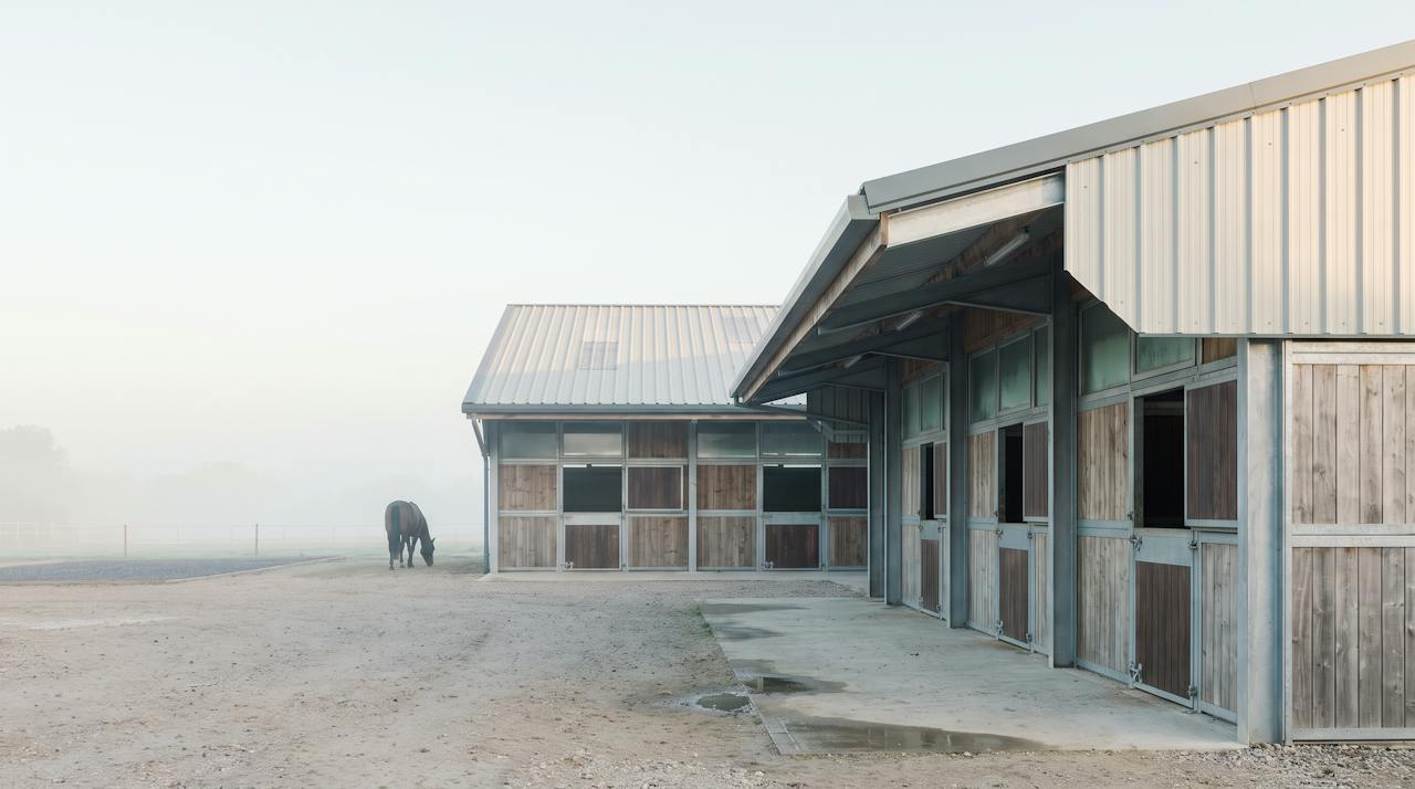 A stable block interior, timber boxes under a steel roof, soft daylight.