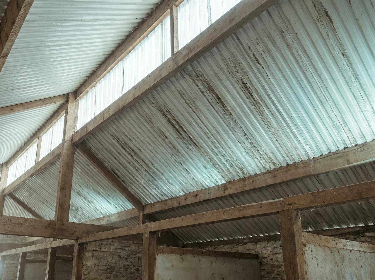 Looking up inside a stable on a cold morning: condensation beading on the underside of a corrugated roof sheet above the stall partitions and bedding.