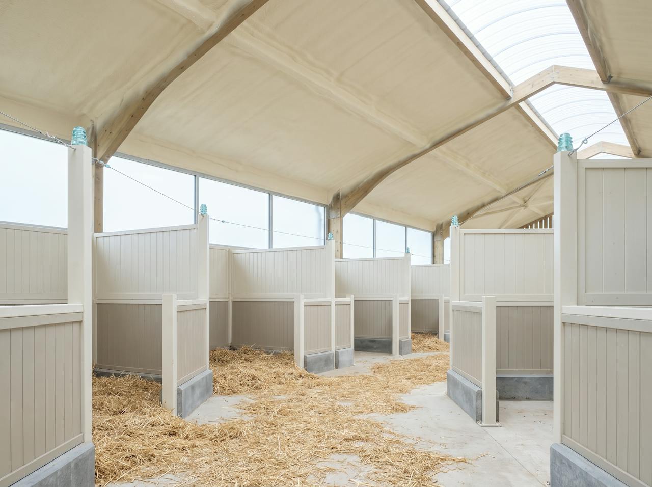 Inside the same stable after treatment: the corrugated roof sheet lined in a continuous cream closed-cell layer between the timber rafters, the ridge vent still open.