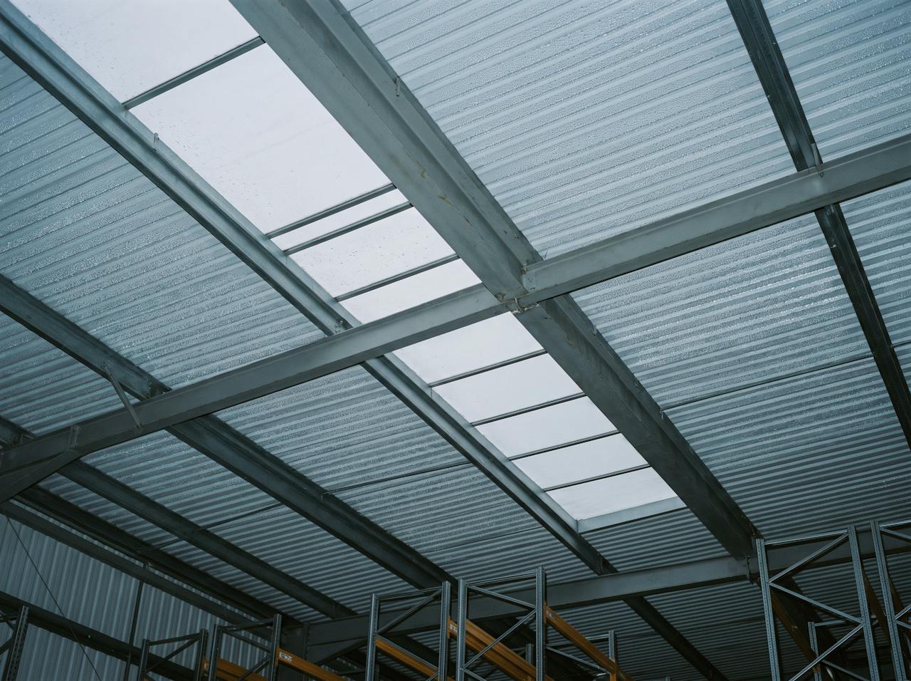 Looking up inside a distribution warehouse on a cold morning: the underside of a profiled steel roof between grey steel purlins, misted with fine condensation across the whole sheet, a rooflight strip letting in flat daylight and the tops of pallet racking at the bottom of the frame.