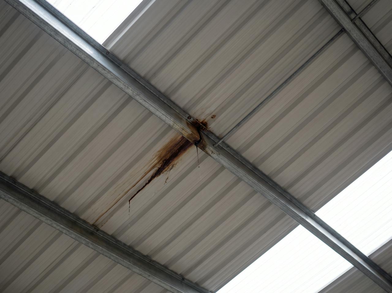 Looking up at the underside of a profiled steel roof after rain. The sheet is dry except for one rust-brown stain around a single fixing, with a wet track running down from that point.