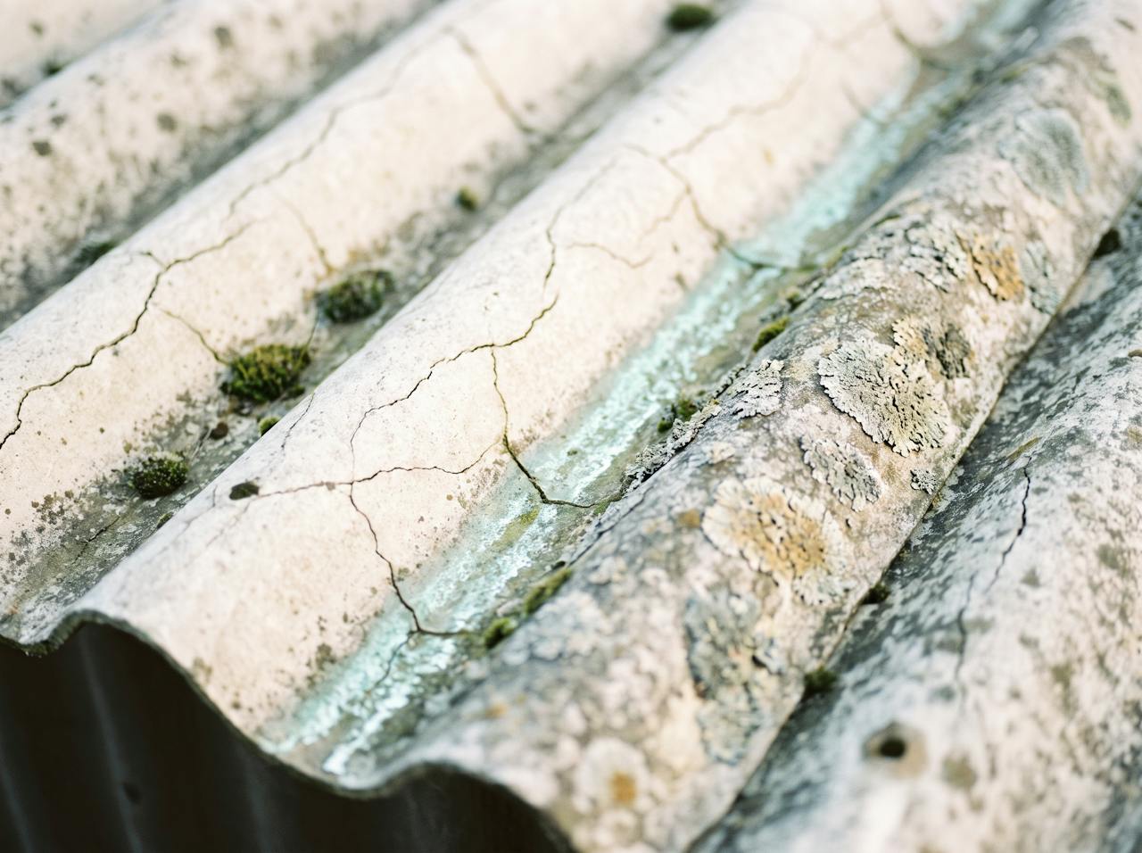 Close-up of a weathered corrugated fibre-cement roof sheet: a chalky, lichen-marked surface, moss in the valleys and a crack running from a fixing.