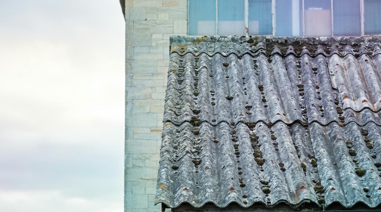 An old corrugated asbestos-cement roof on a UK industrial building, weathered and marked with lichen, under a grey sky turning pale.